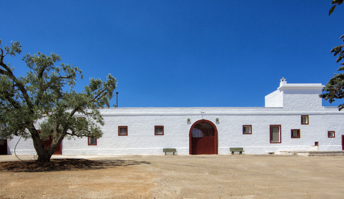 La masseria di Badessa è stata ristrutturata secondo principi di ausilio alla biodiversità ambientale