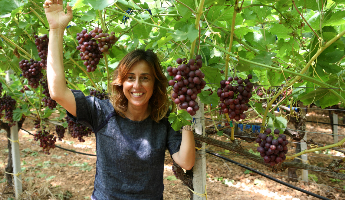 DIDONNA Raffaella, imprenditore produttore di uva biologica