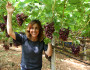 DIDONNA Raffaella, imprenditore produttore di uva biologica